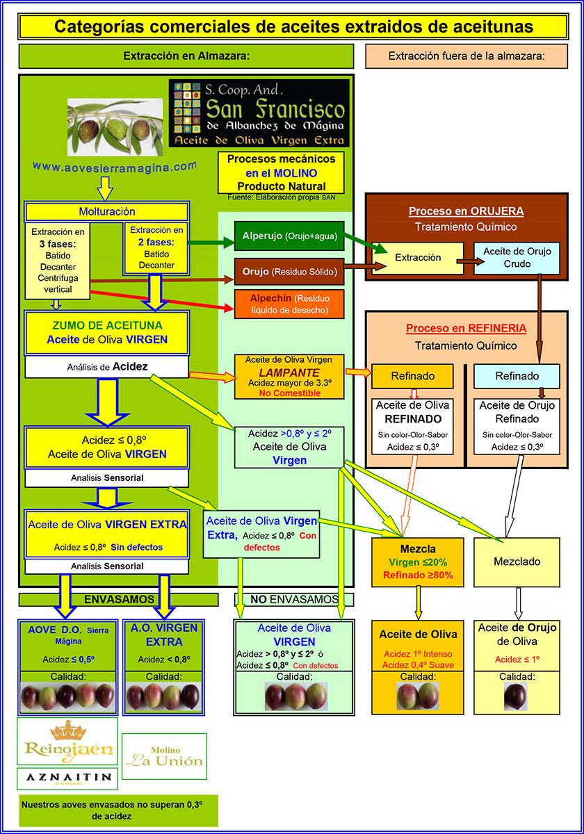 Procesado Del Aceite